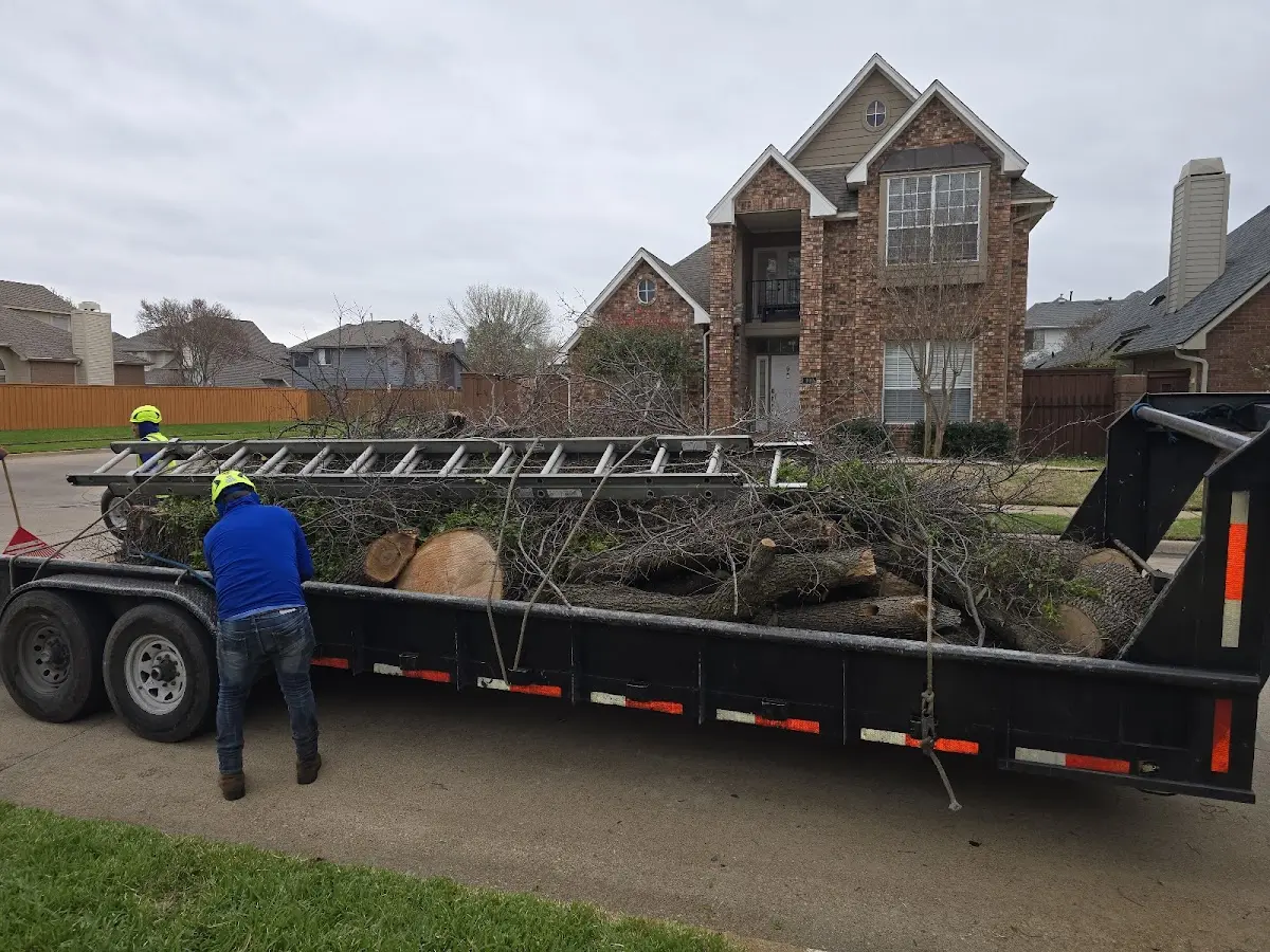 Expert Tree Fertilization with proper safety equipment in Walnut Grove